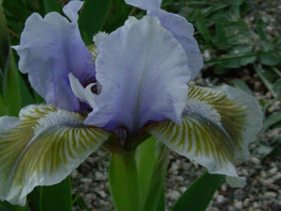 Agathes_DSCN2127.JPG
