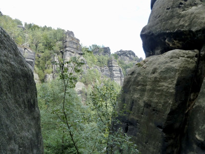 eberesche.jpg