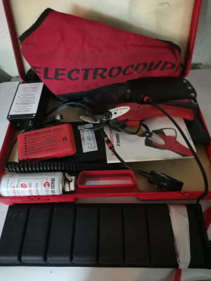 Electrocoup_1.jpeg