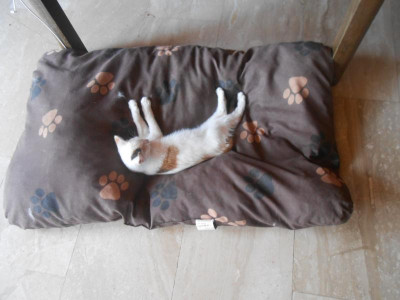 DSCN4687.JPG