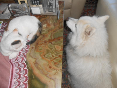 DSCN4669.JPG