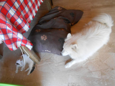 DSCN4677.JPG