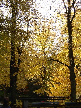 Herbsttageoktober.jpg