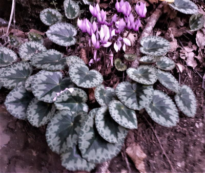 20220808_182130.jpg
