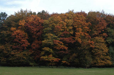 herbstfarben_7861.jpg