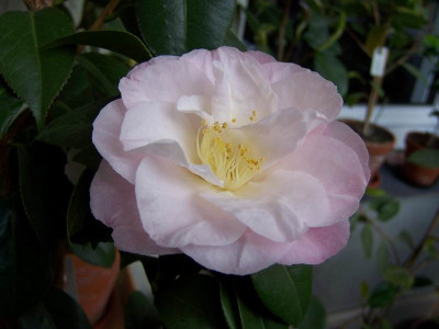 100_3327.JPG