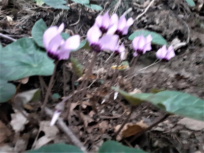 20220808_182401.jpg