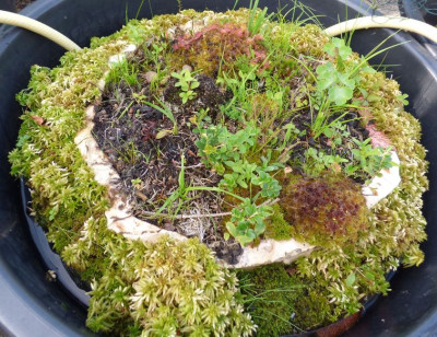 island August22 a.jpg