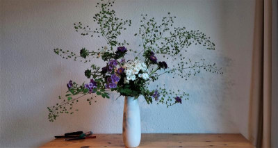 Thalictrum-Strauß.jpg