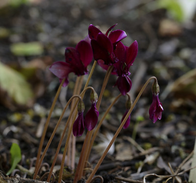DSC_6020_DxO_DxO.jpg