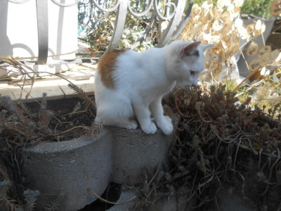 DSCN4720.JPG