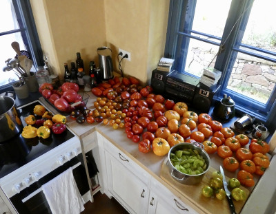 tomaten.jpg