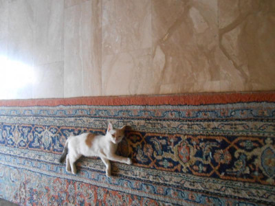 DSCN4709.JPG