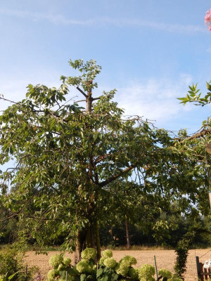 DSCN2120.JPG
