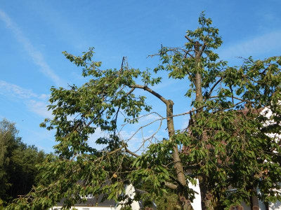DSCN2121.JPG