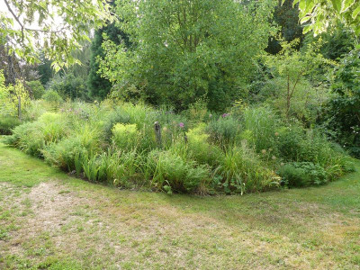 2022-08-14 Garteneinblick 15.jpg