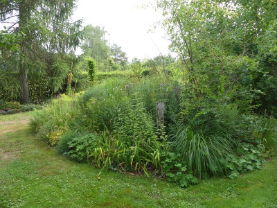 2022-08-14 Garteneinblick 3.jpg