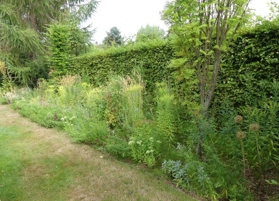2022-08-14 Garteneinblick 13.jpg