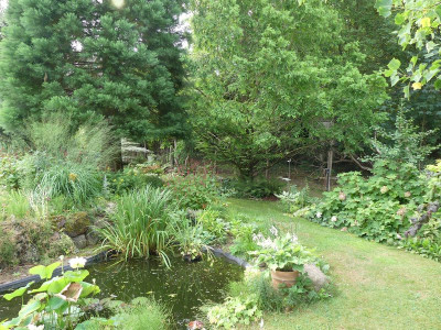 2022-08-14 Garteneinblick 6.jpg