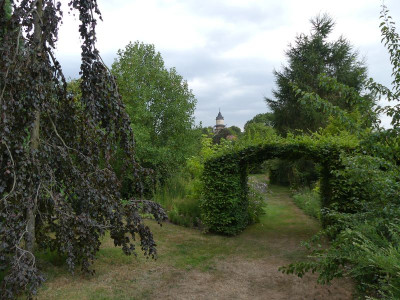 2022-08-15 Garteneinblick 1.jpg
