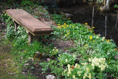Am_Bach_April_08.jpg