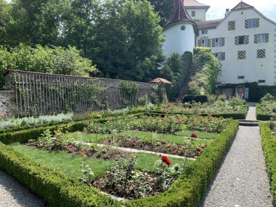 Heidegg_Schloss.jpg