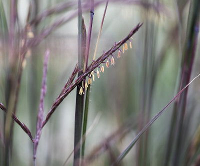DSC_6034_DxO.jpg