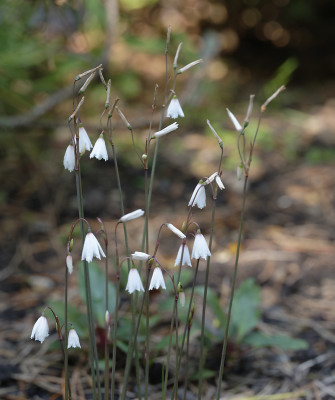 DSC_6039_DxO.jpg