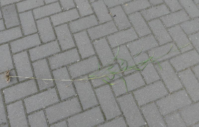 2022-08-21 UGO 1.jpg