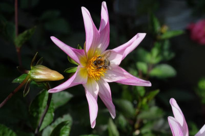 DSCF6827.JPG