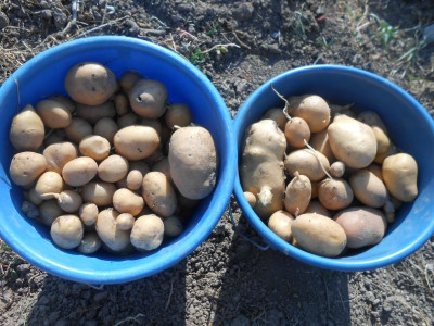 DSCN4772.JPG