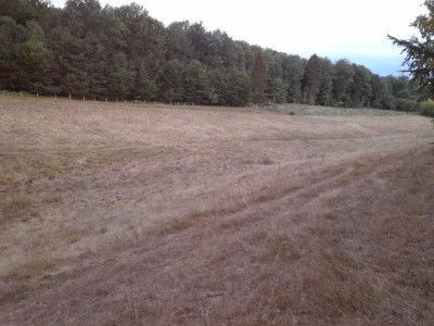 20220822_203018.jpg