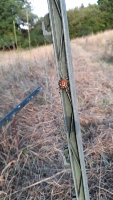 IMG-20220822-WA0020.jpeg