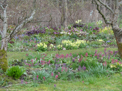 2021-04-11 Gartenimpressionen 5.jpg