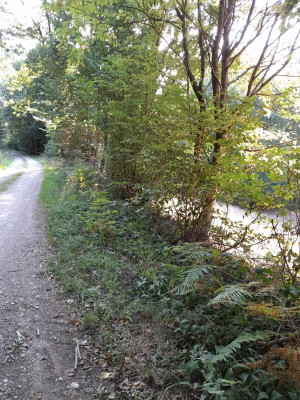20220823_092756.jpg