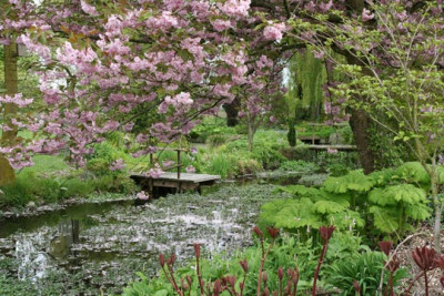 Naturgarten-1.jpg