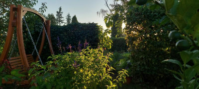 20220824_070040.jpg