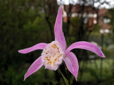 DSCN0012_u.jpg