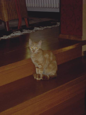 molly_030.jpg