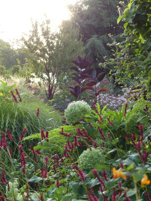 2022-08-25 Gartenimpressionen 1.jpg