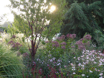 2022-08-25 Gartenimpressionen 2.jpg