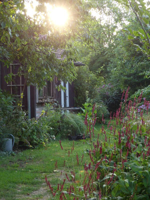 2022-08-25 Gartenimpressionen 3.jpg