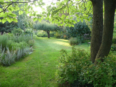 2022-08-25 Gartenimpressionen 4.jpg