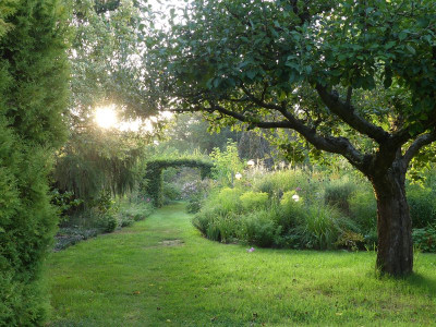 2022-08-25 Gartenimpressionen 6.jpg