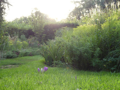 2022-08-25 Gartenimpressionen 8.jpg