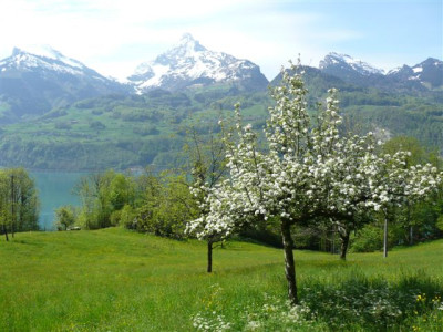 04.05.2008.10.JPG