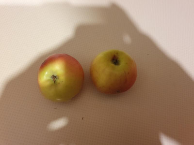 20220827_212845.jpg