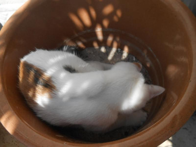 DSCN4794.JPG