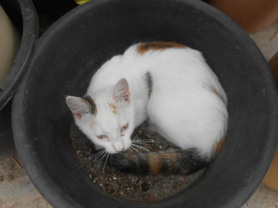 DSCN4818.JPG