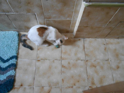 DSCN4830.JPG